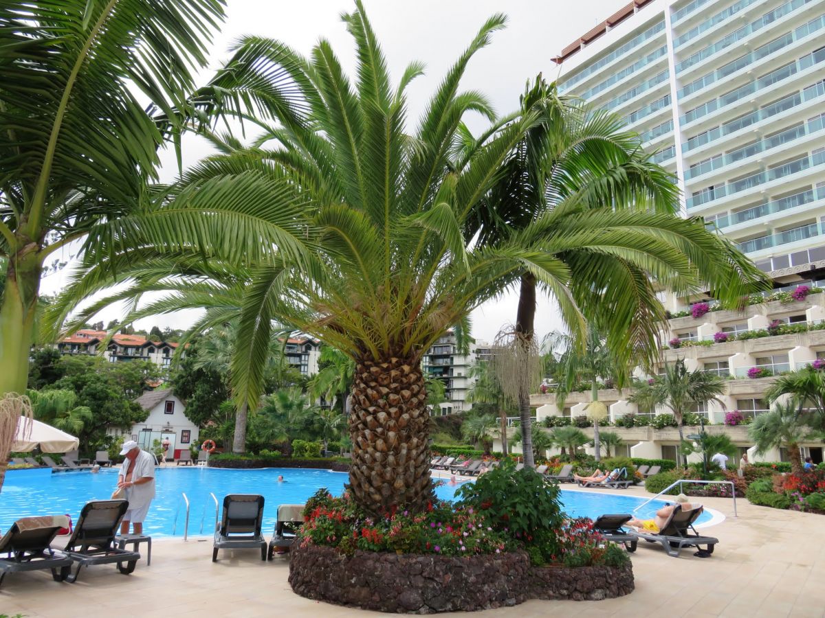 imagini hotel PESTANA MADEIRA BEACH CLUB